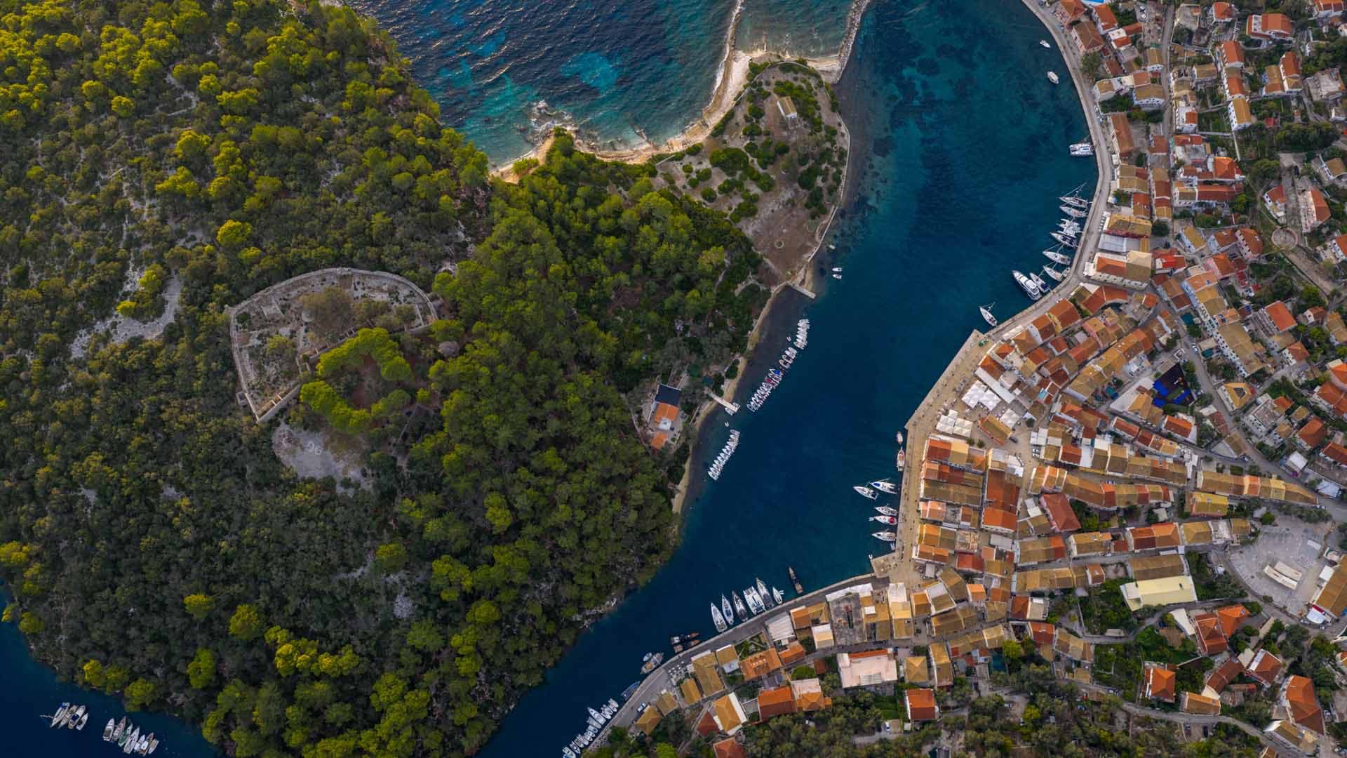 Alt text not provided