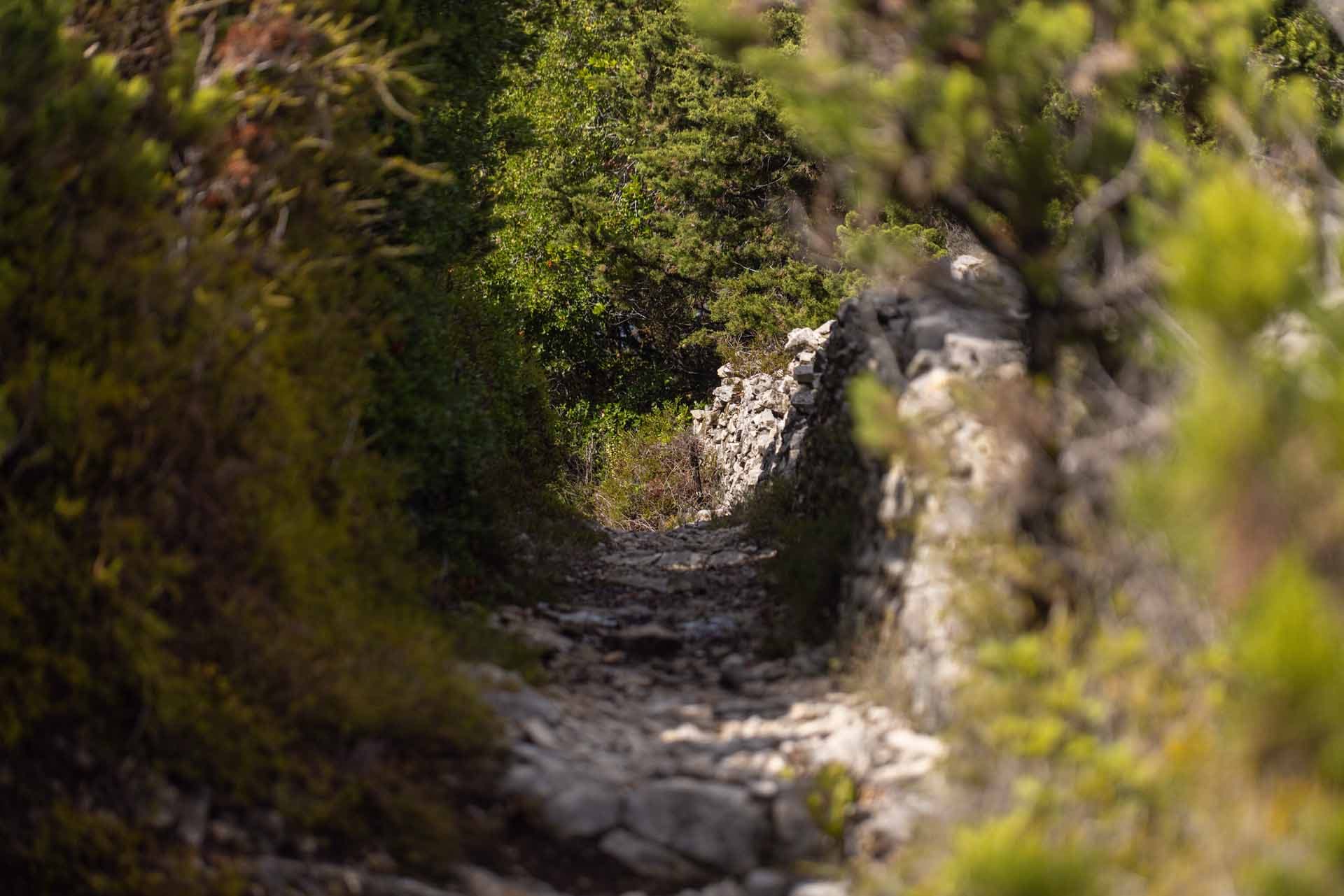 Alt text not provided