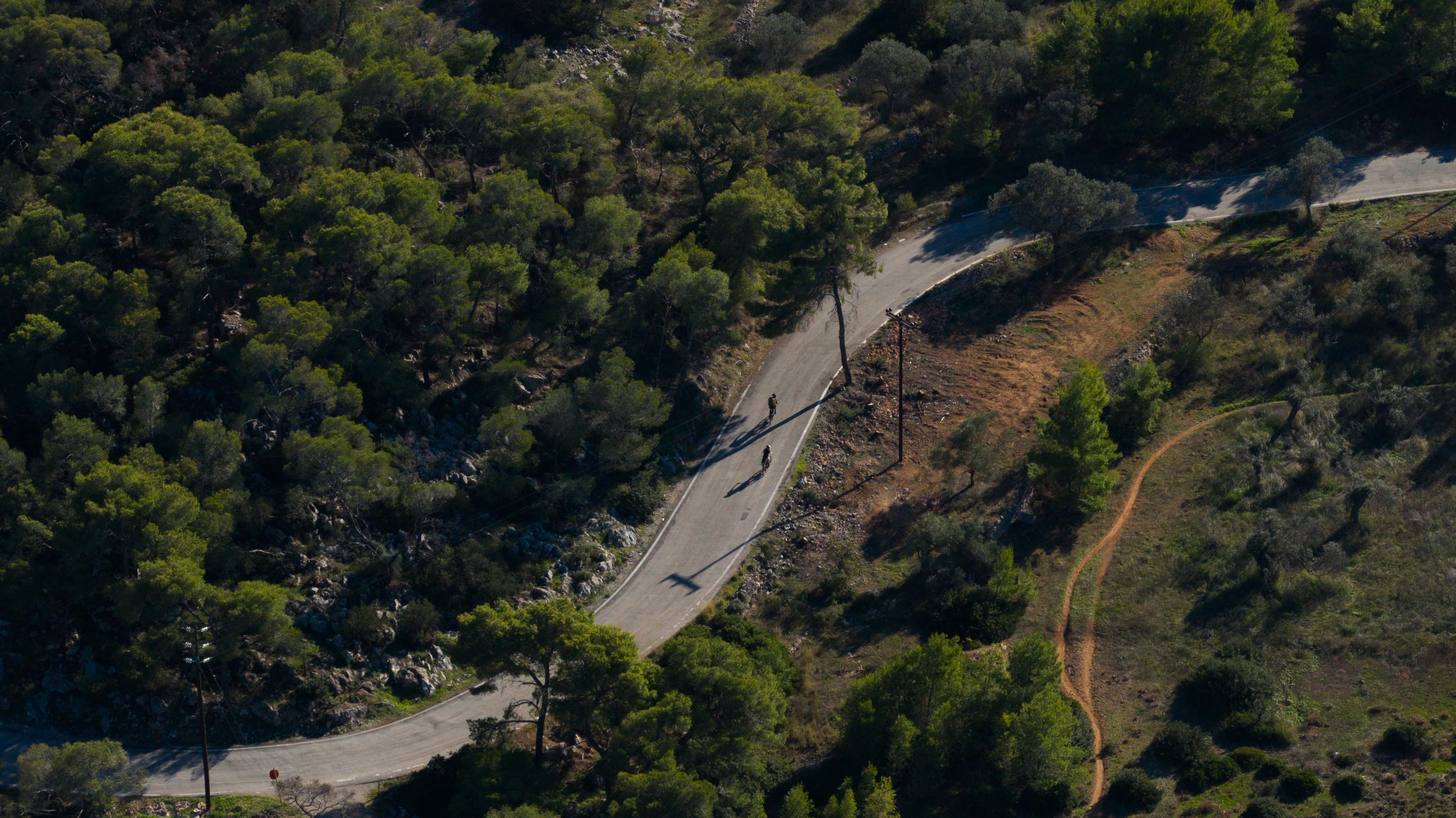 Alt text not provided