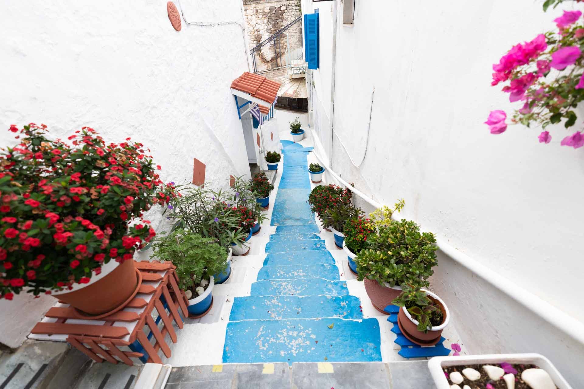 Alt text not provided