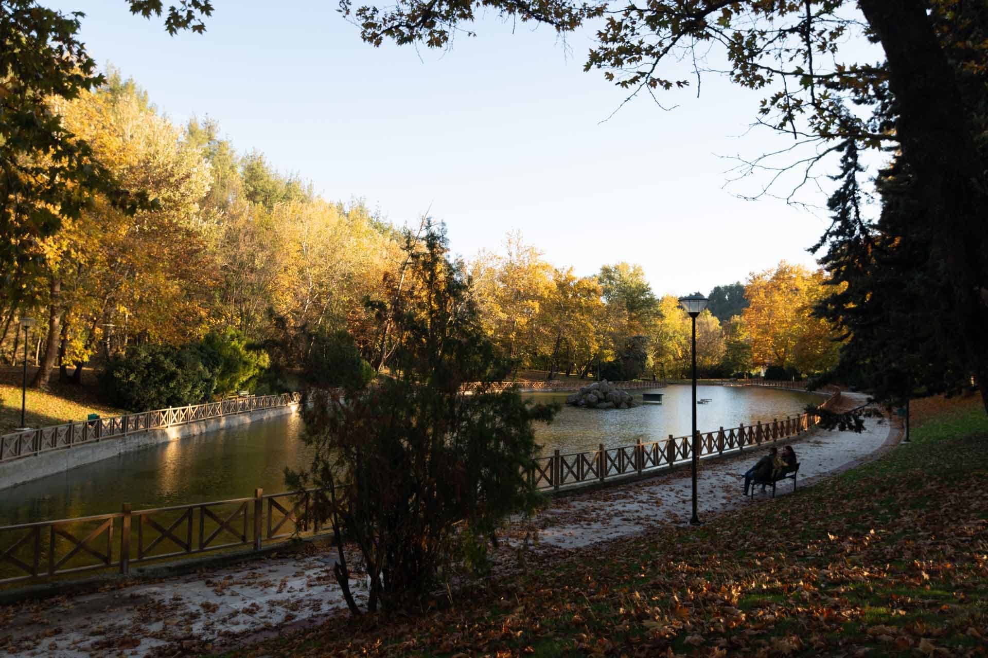 Alt text not provided