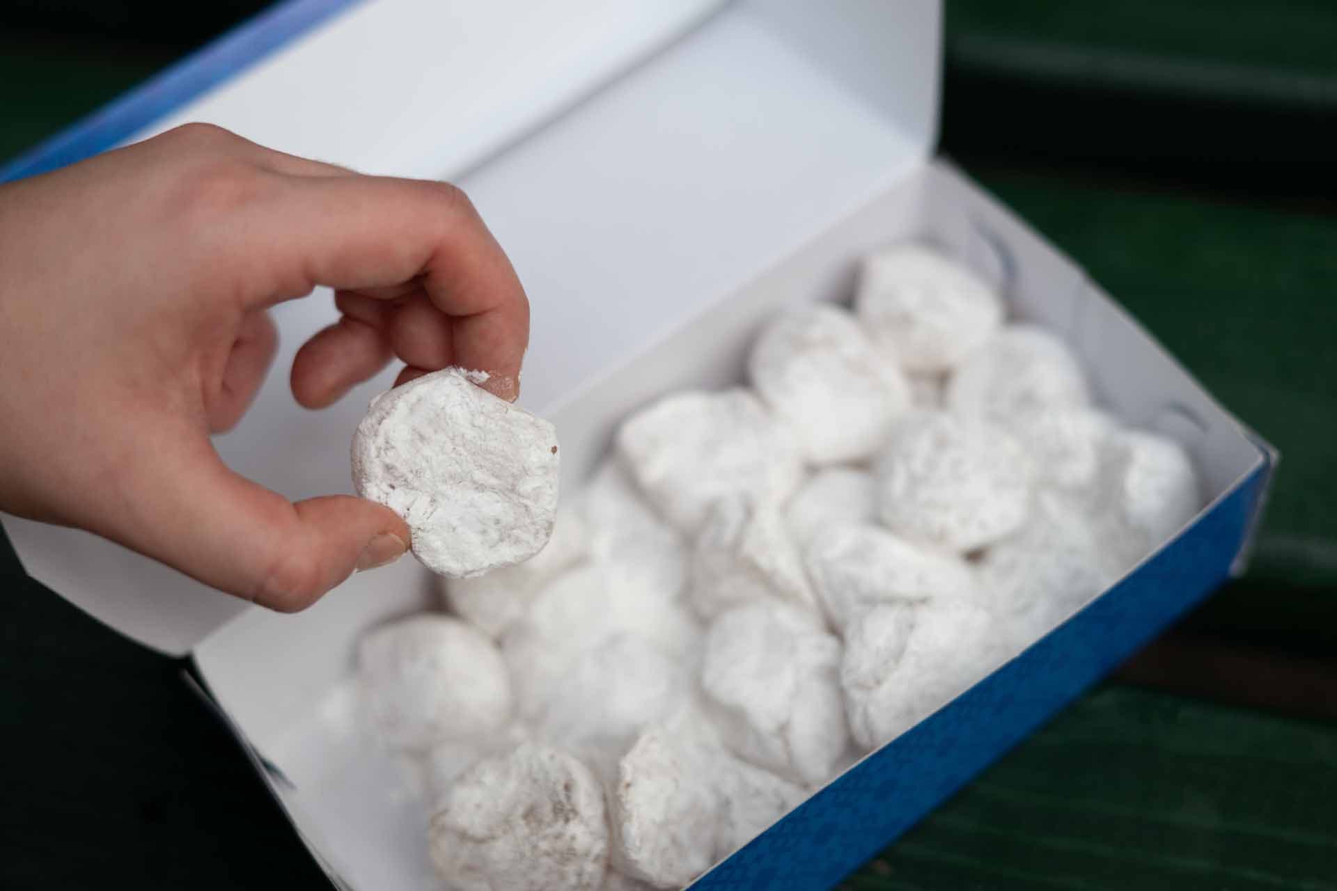 Alt text not provided