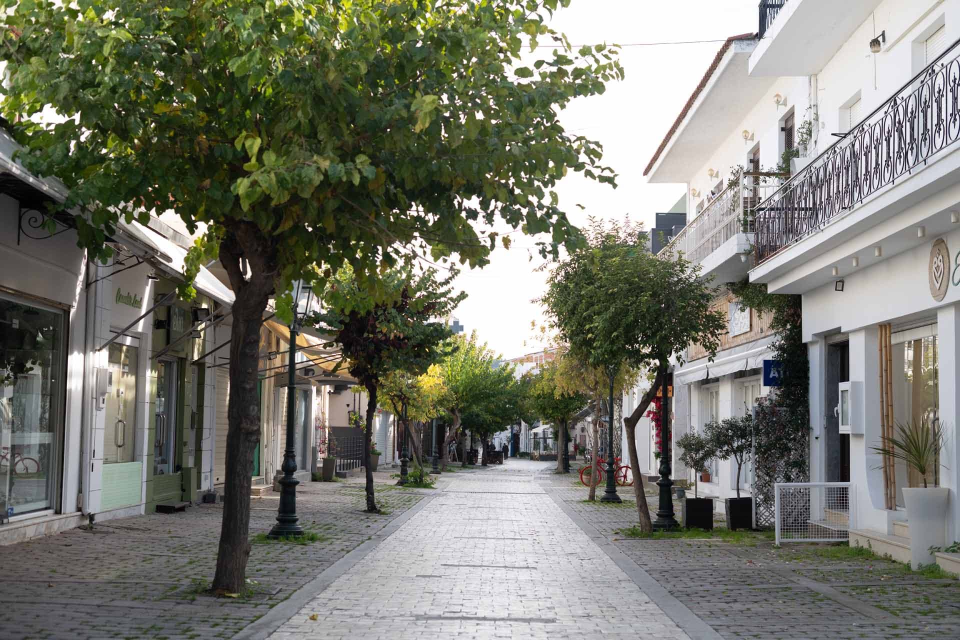 Alt text not provided