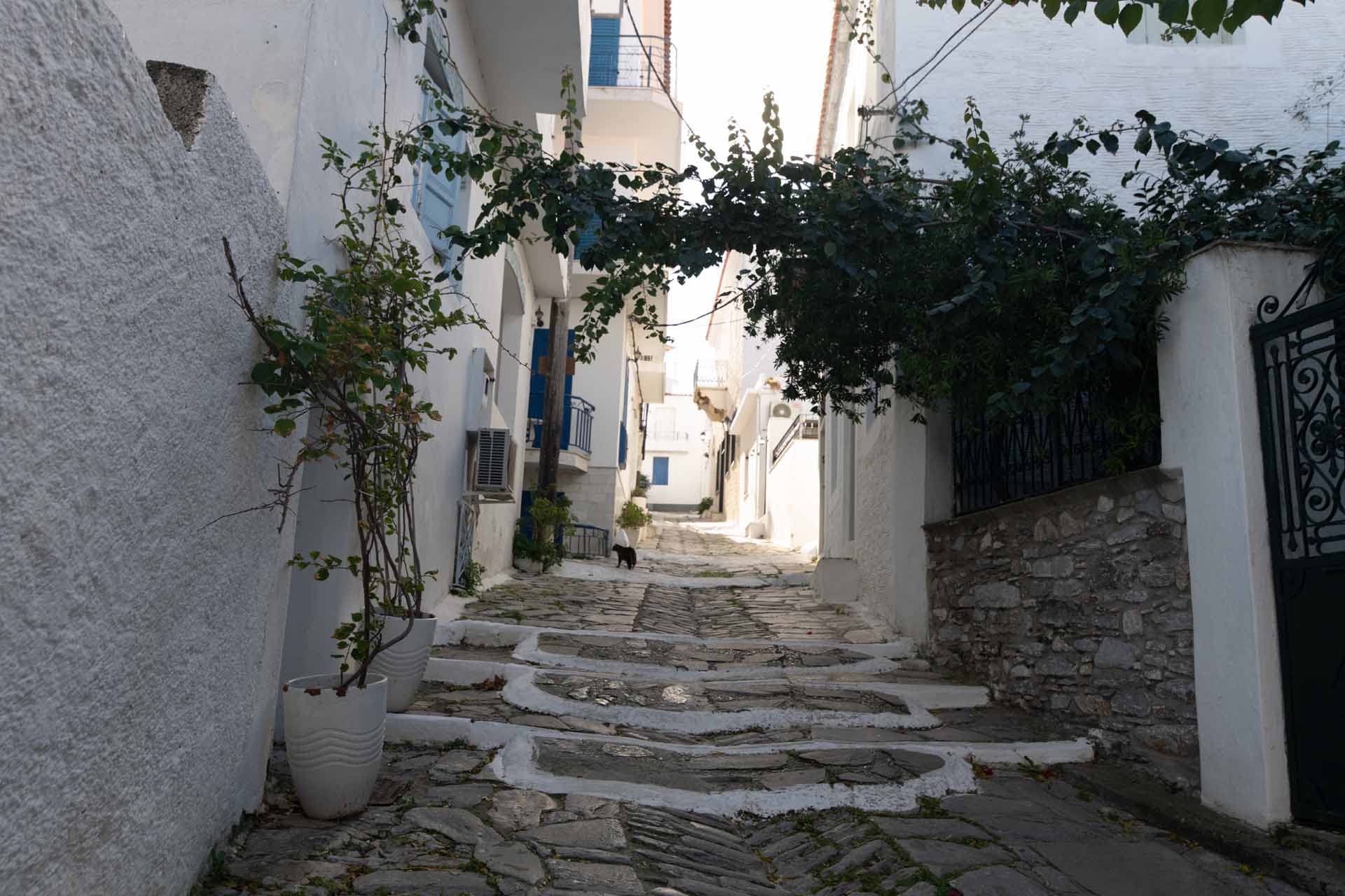 Alt text not provided