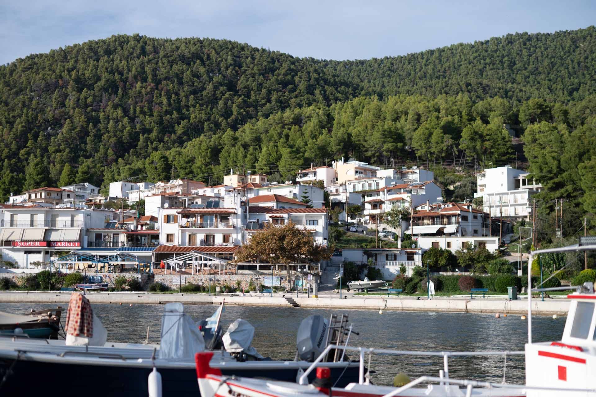 Alt text not provided