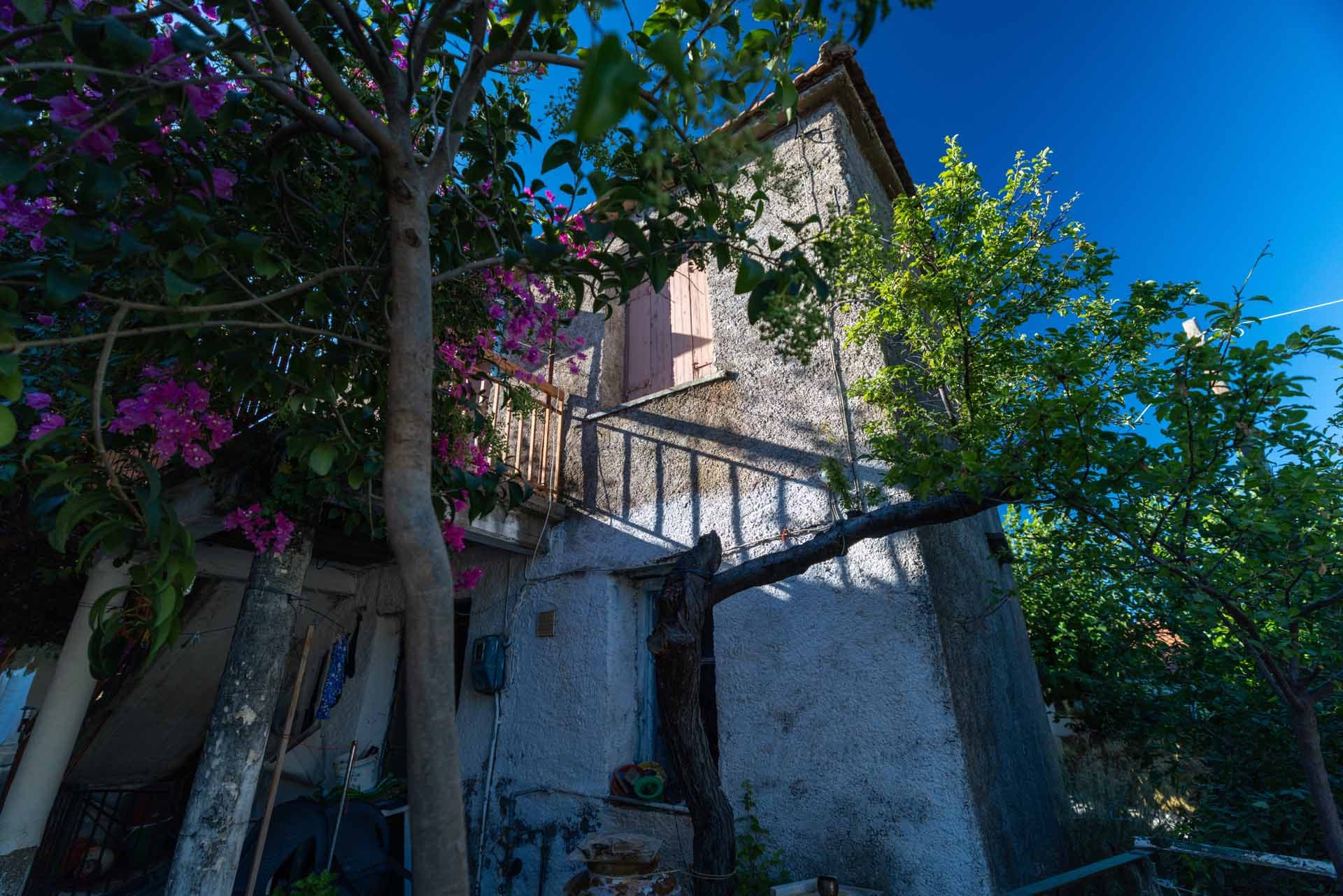 Alt text not provided