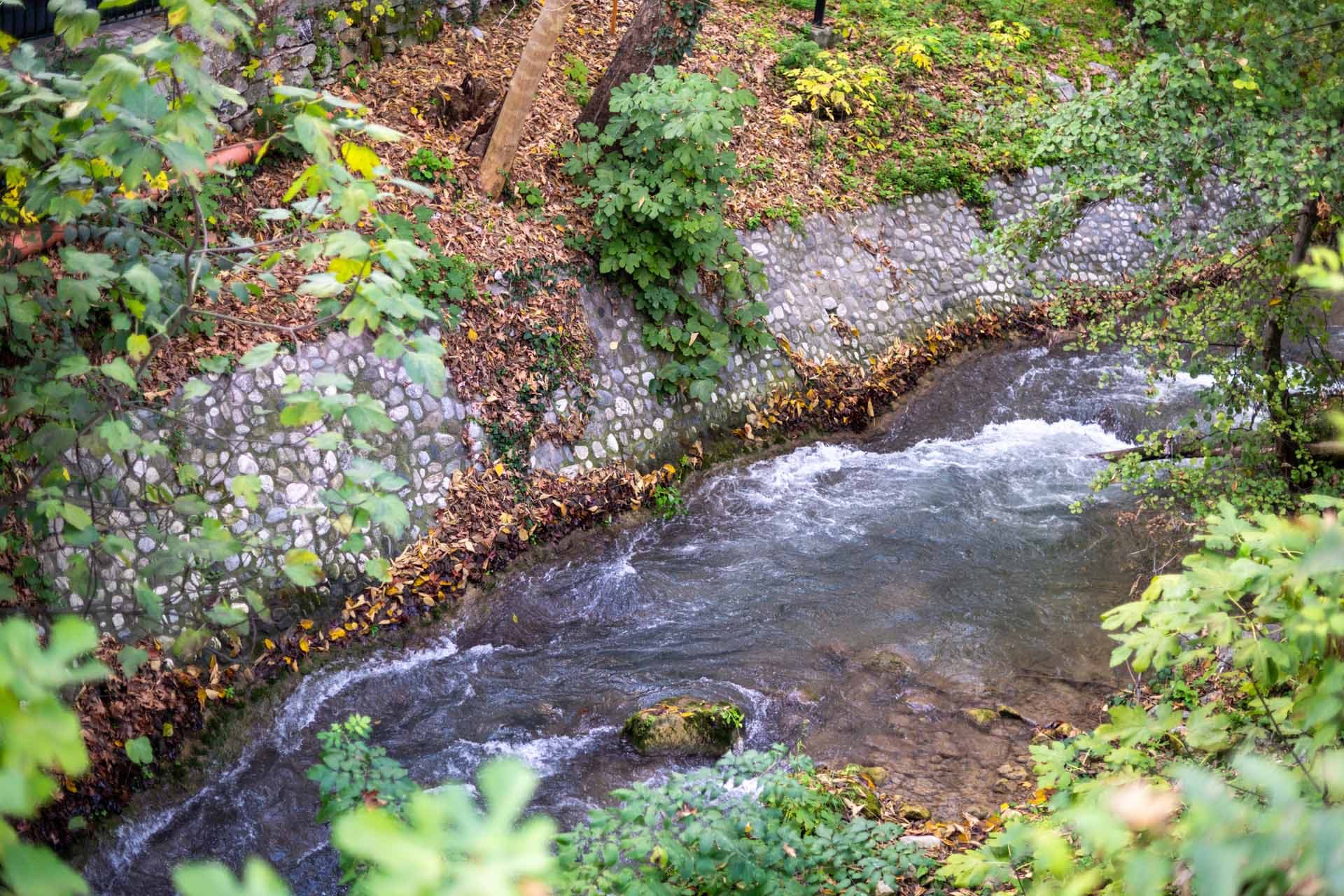 Alt text not provided