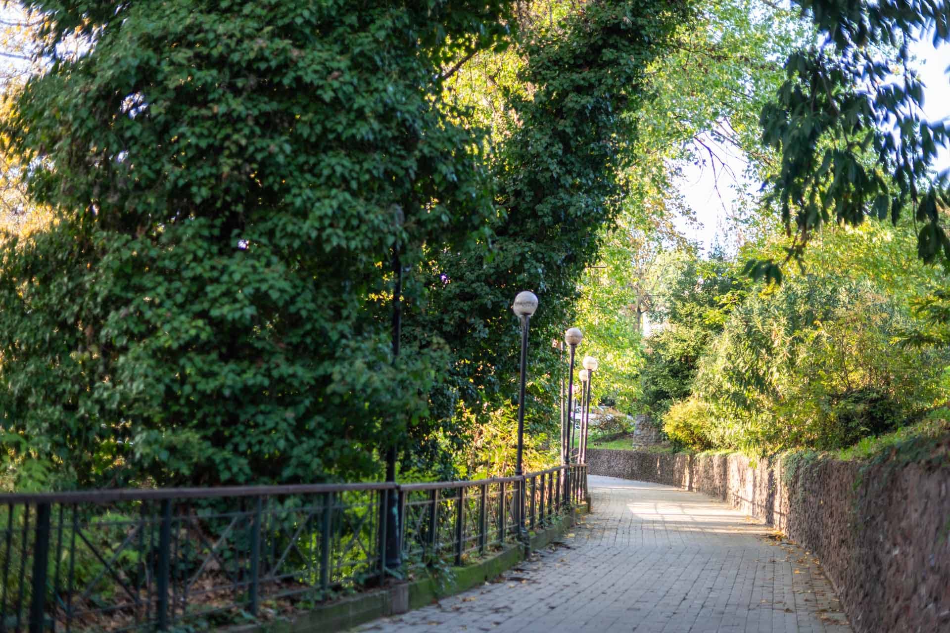 Alt text not provided