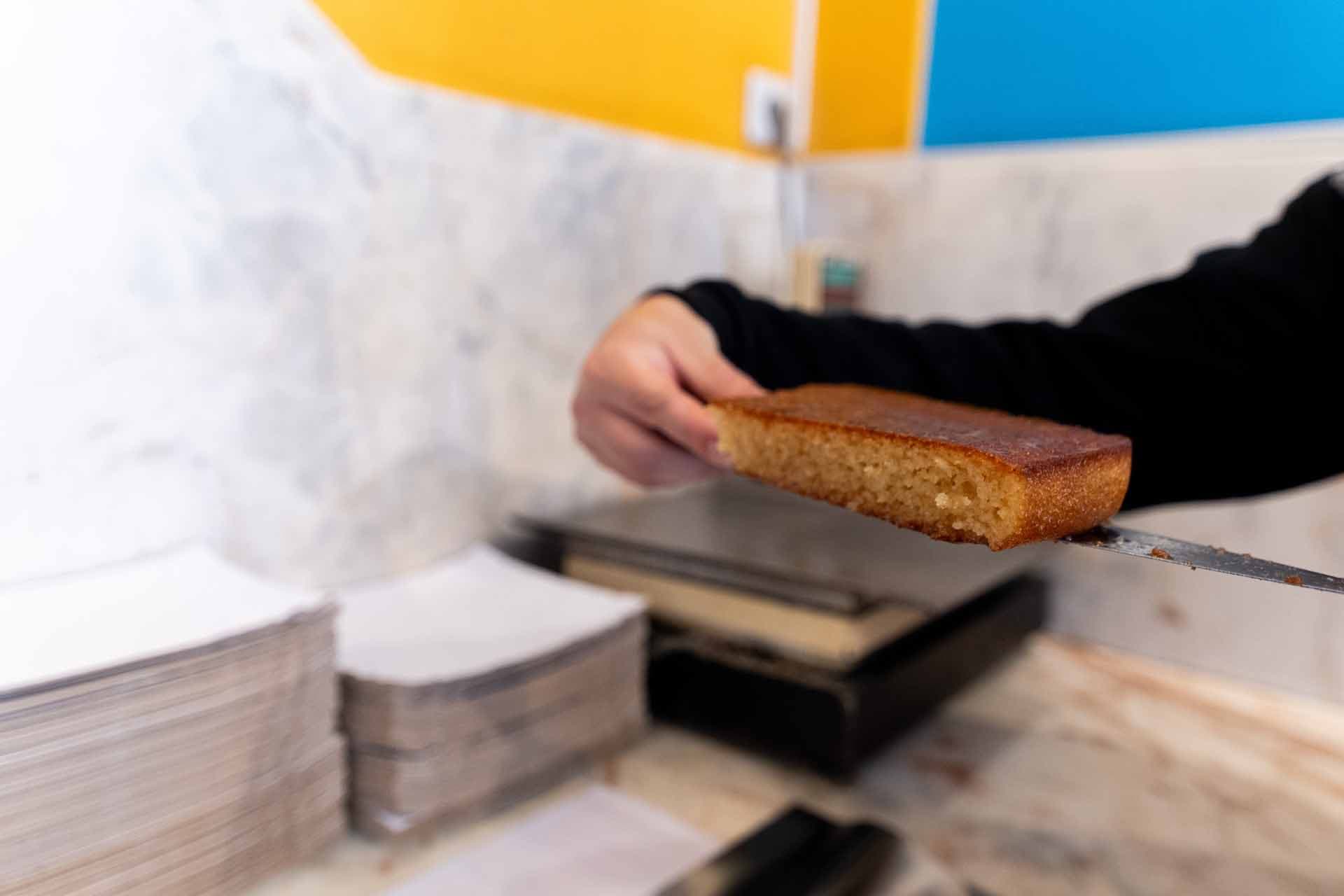 Alt text not provided