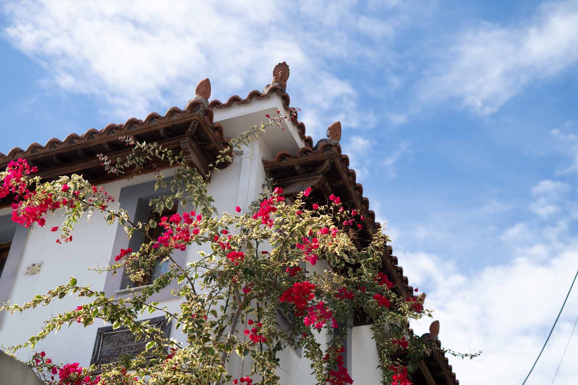 Alt text not provided