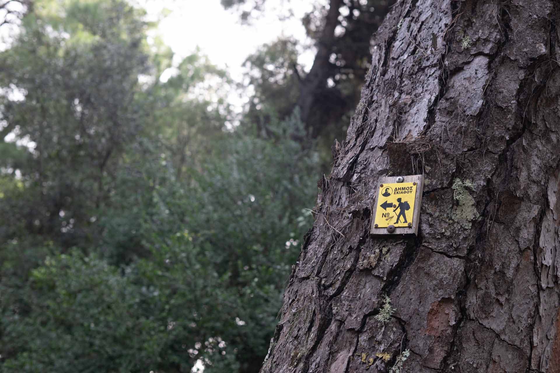 Alt text not provided