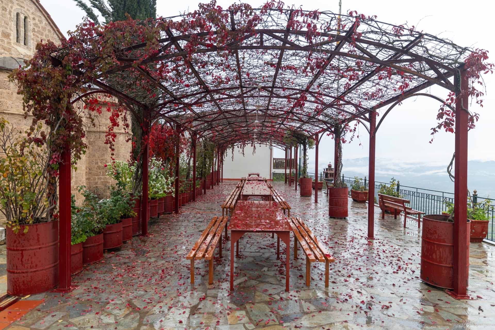 Alt text not provided