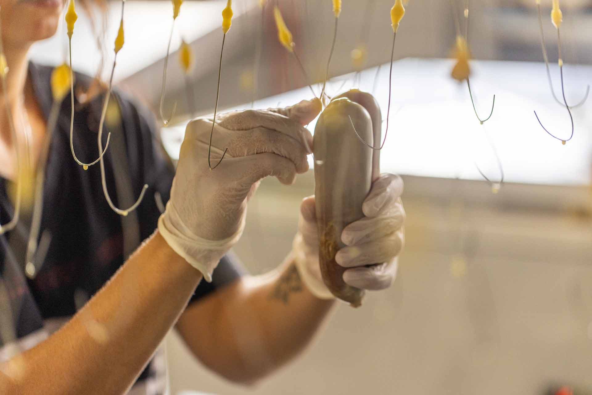 Alt text not provided