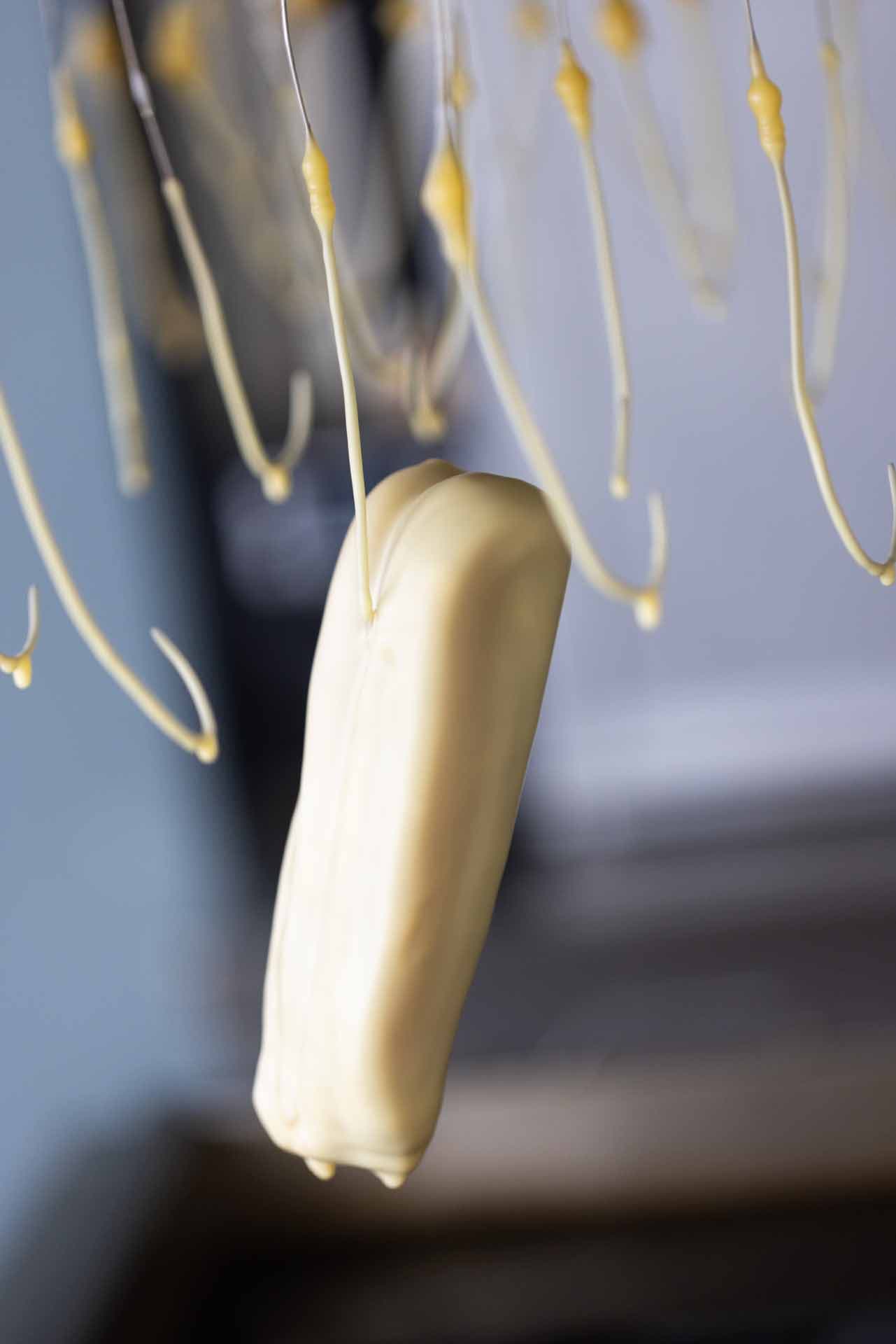 Alt text not provided