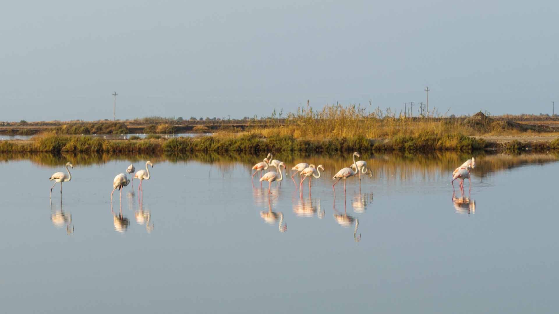 Alt text not provided