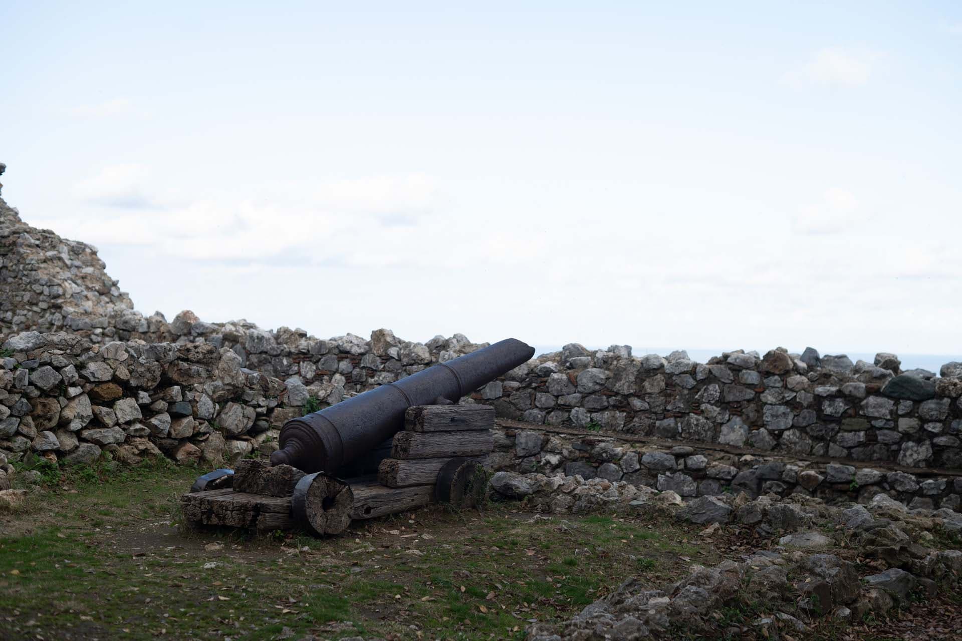 Alt text not provided