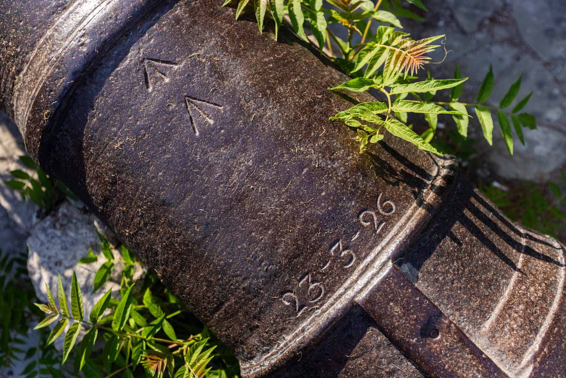 Alt text not provided