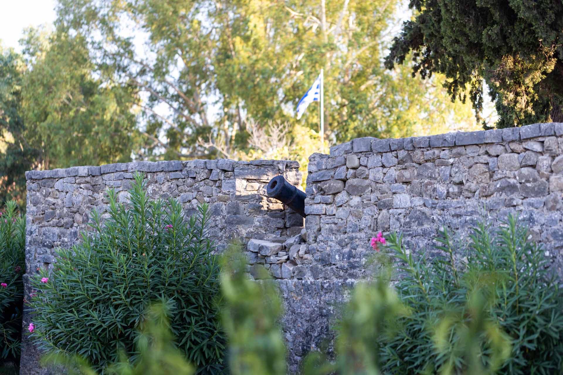 Alt text not provided