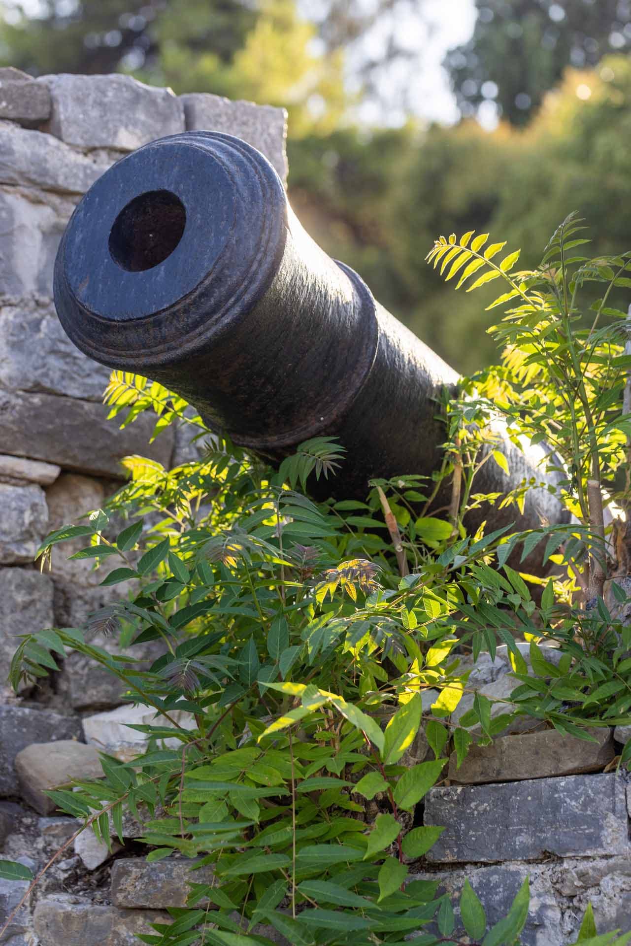 Alt text not provided