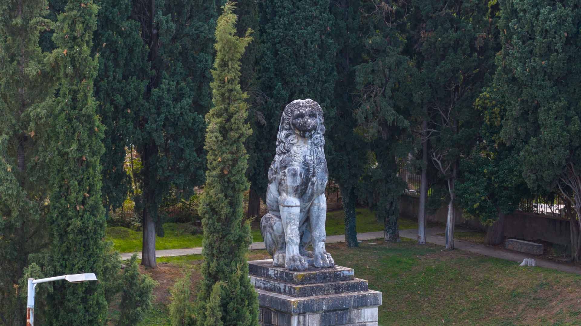 Alt text not provided