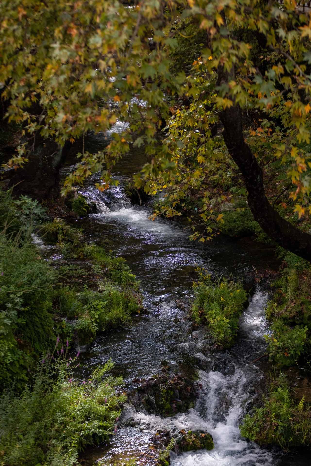 Alt text not provided