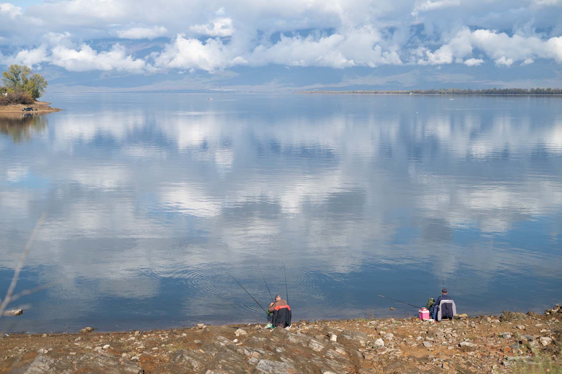 Alt text not provided