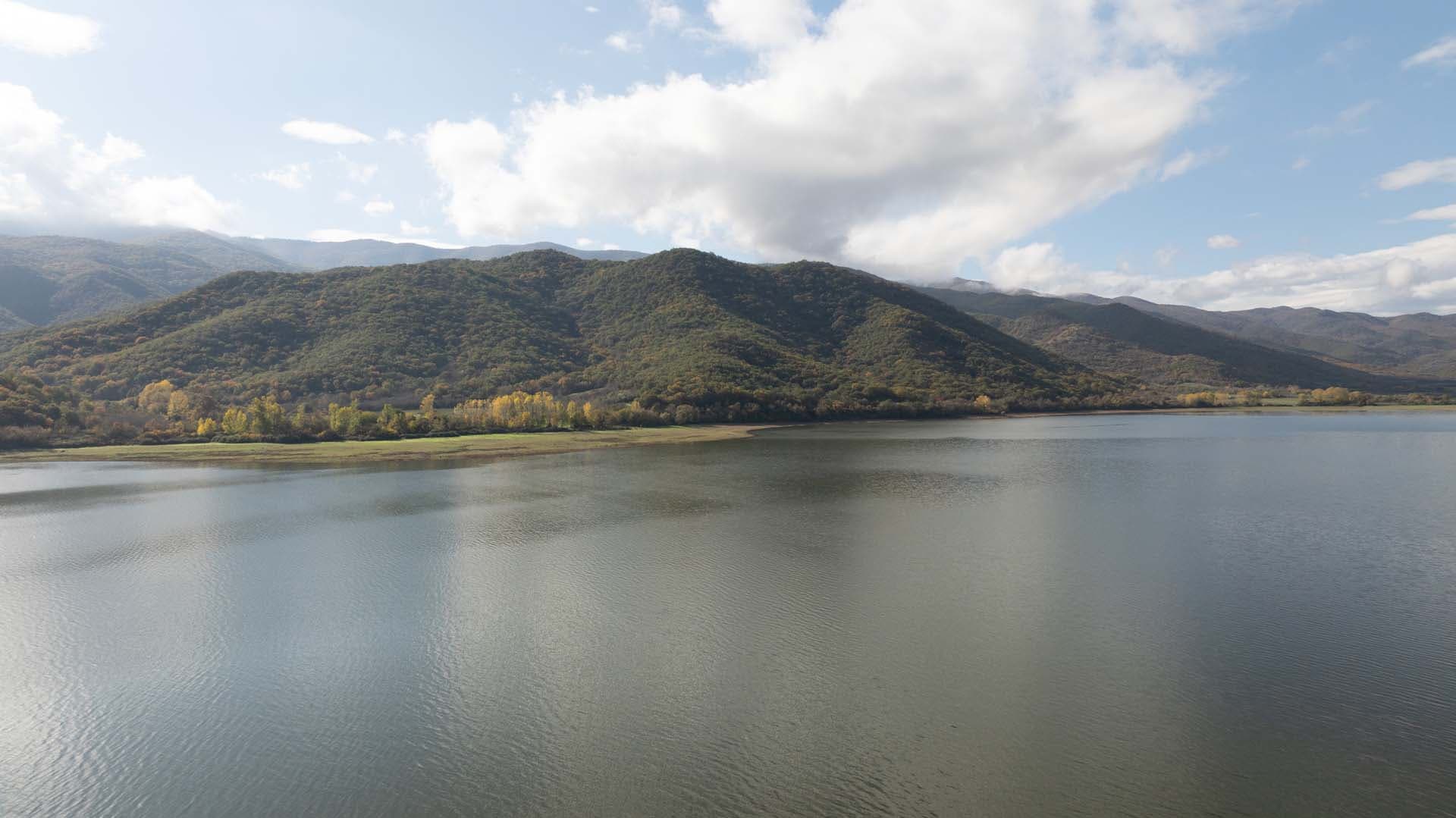 Alt text not provided