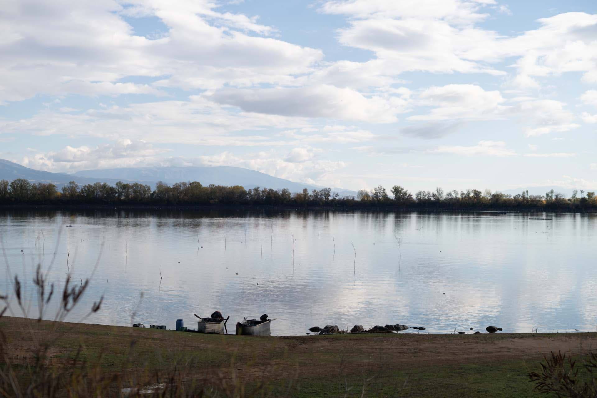 Alt text not provided