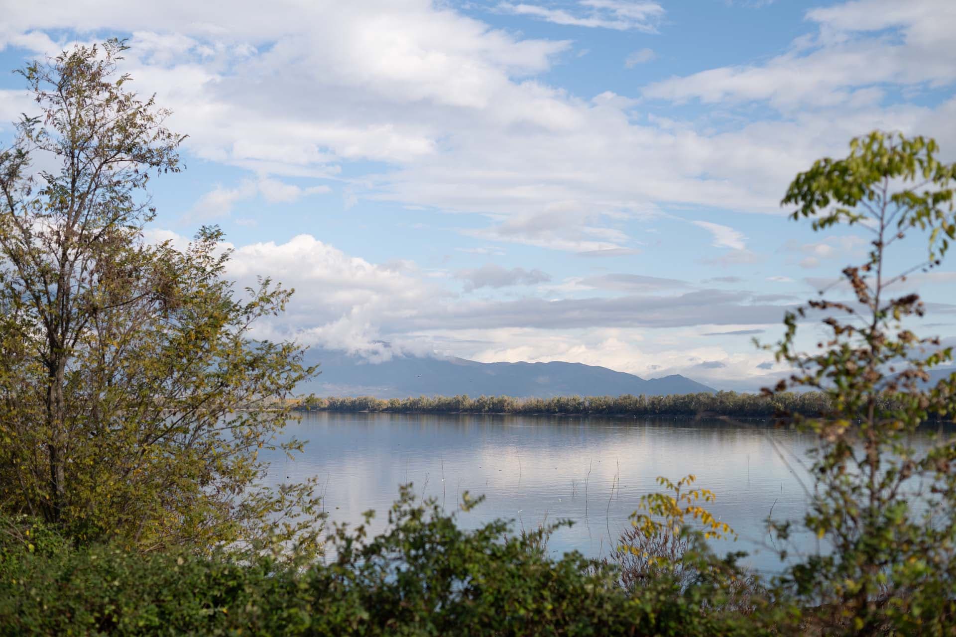 Alt text not provided