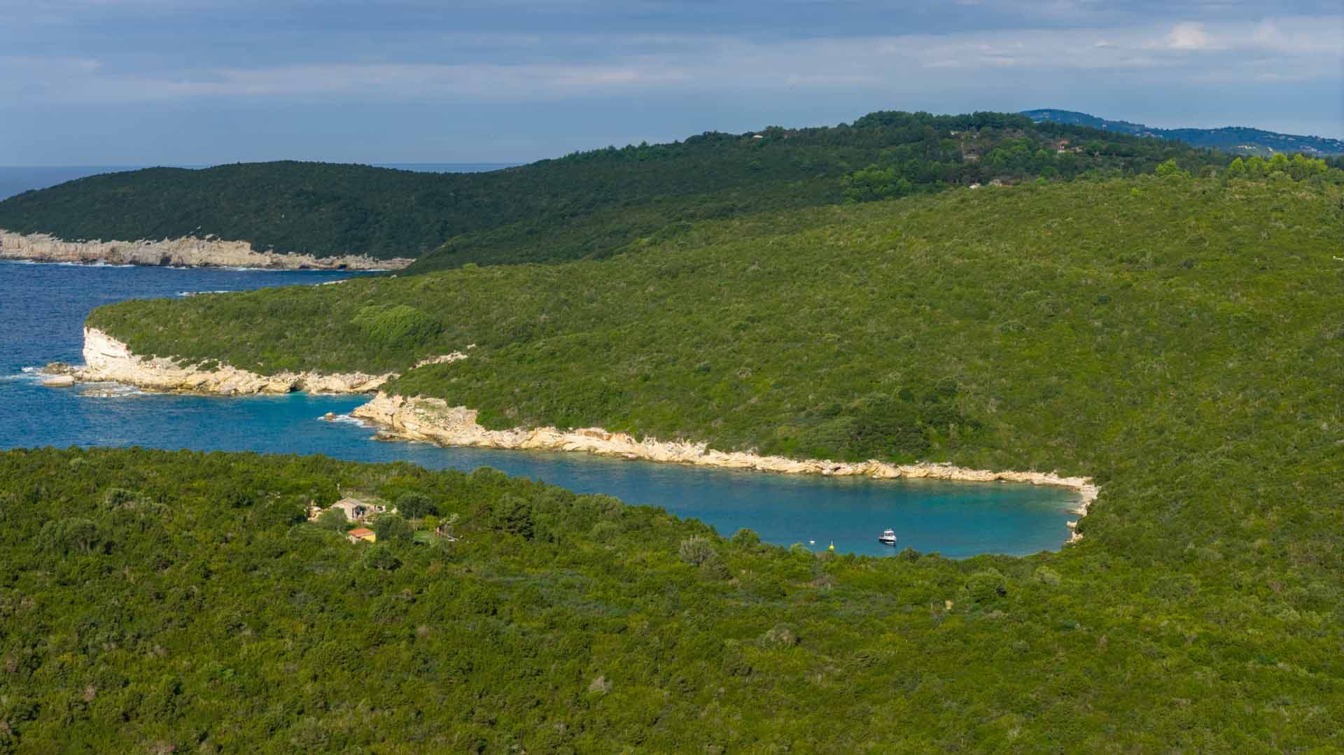 Alt text not provided