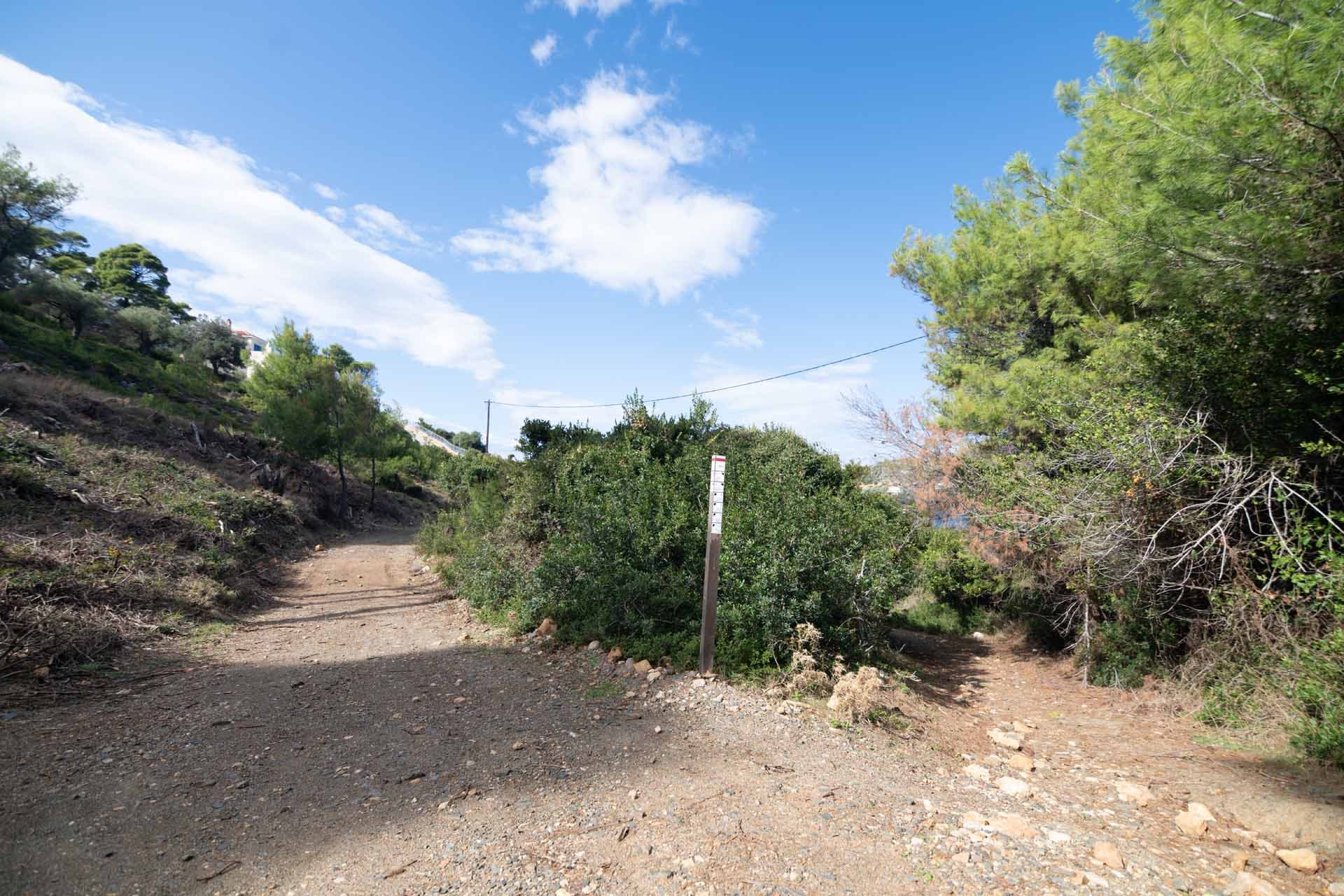 Alt text not provided