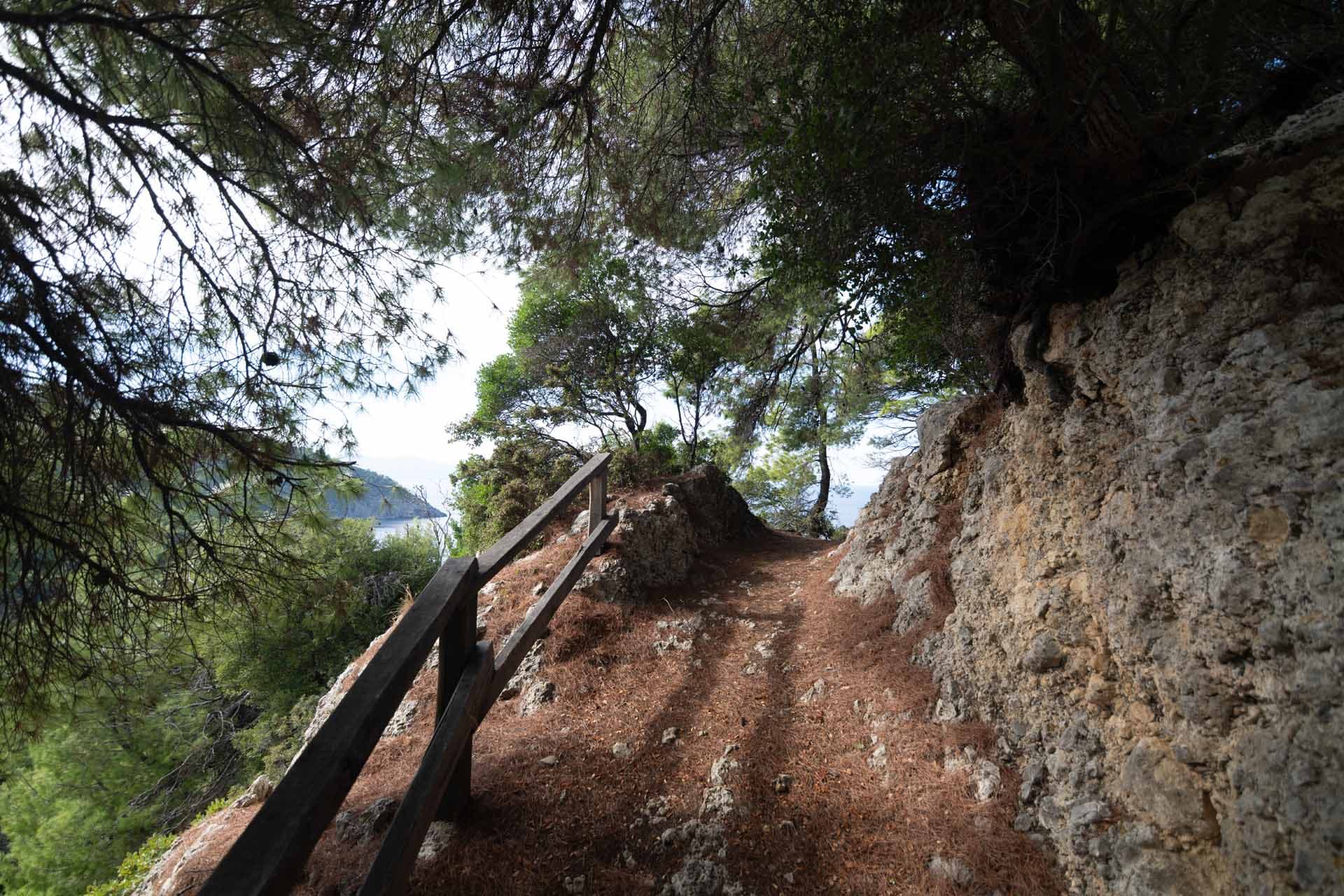 Alt text not provided