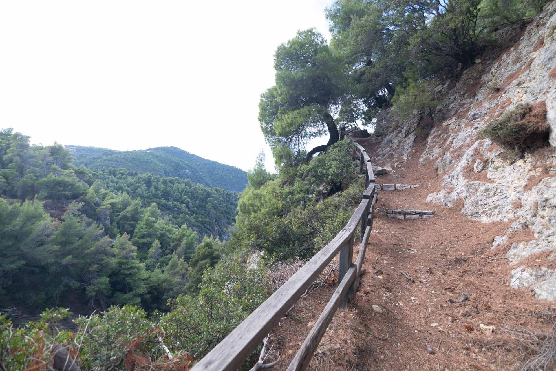 Alt text not provided