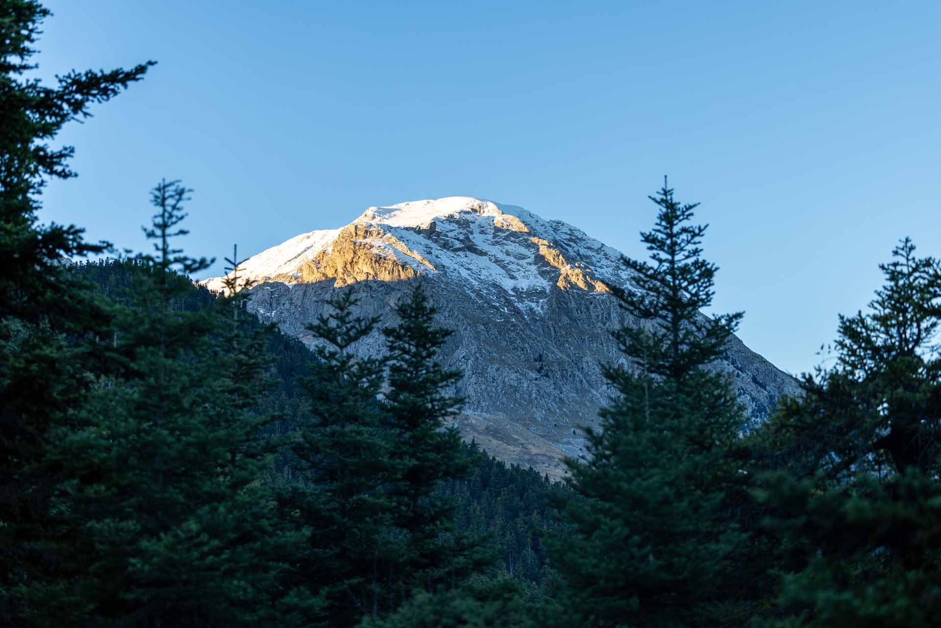 Alt text not provided