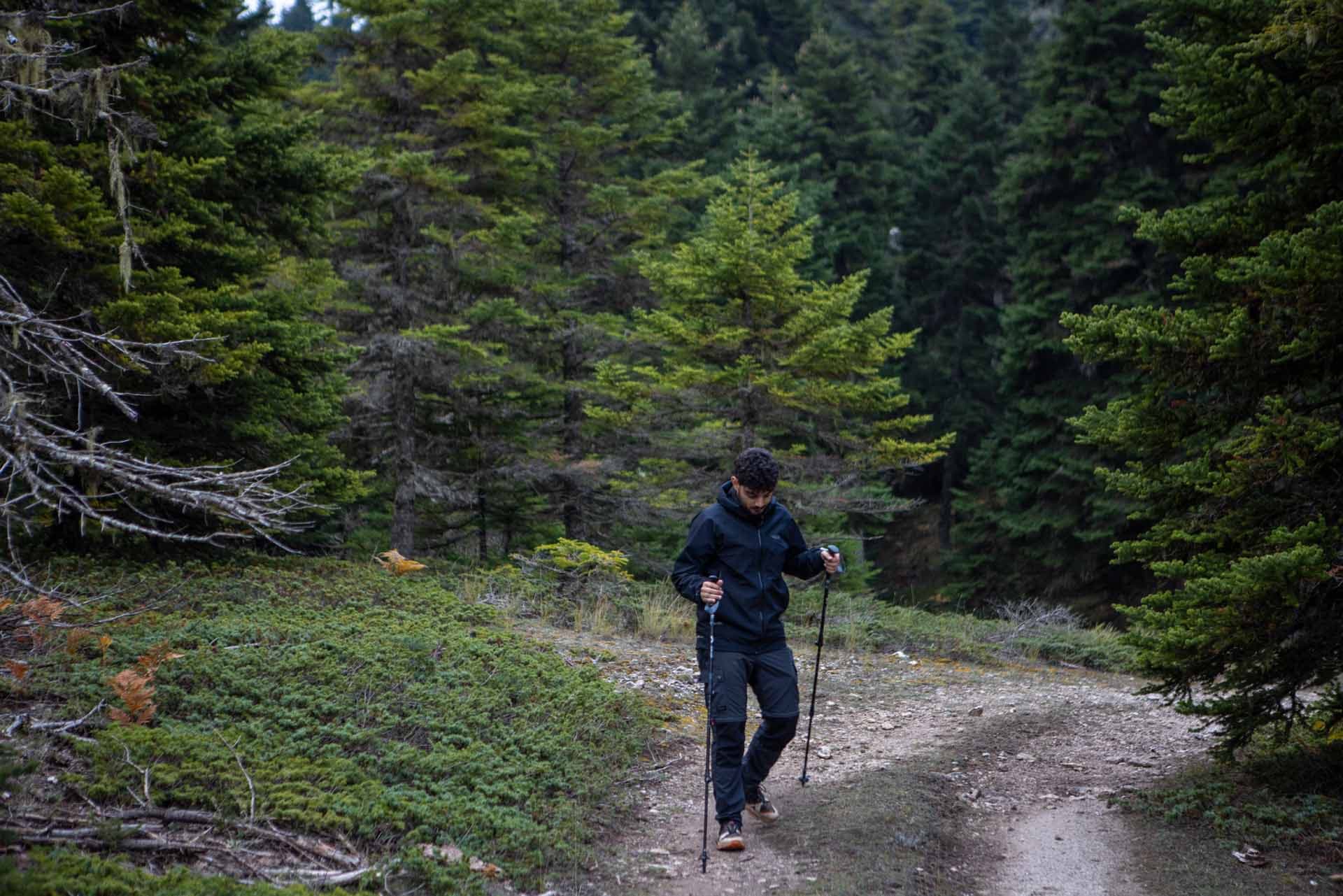 Alt text not provided