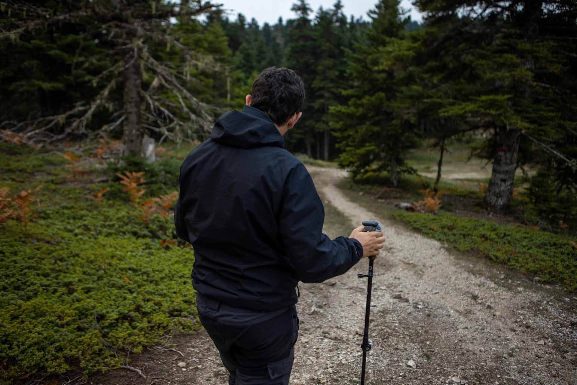 Alt text not provided