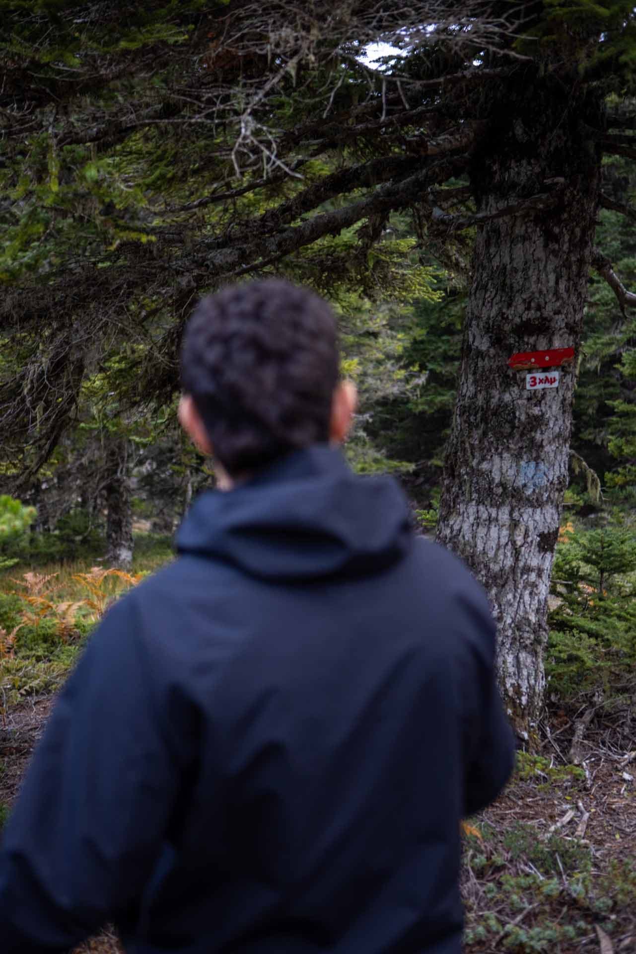 Alt text not provided