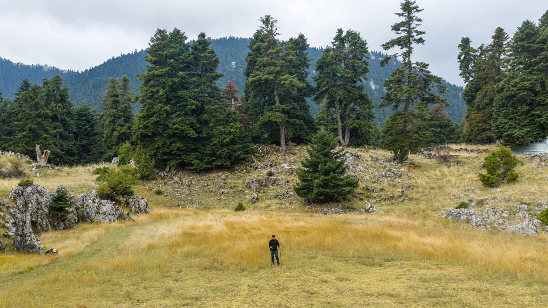 Alt text not provided