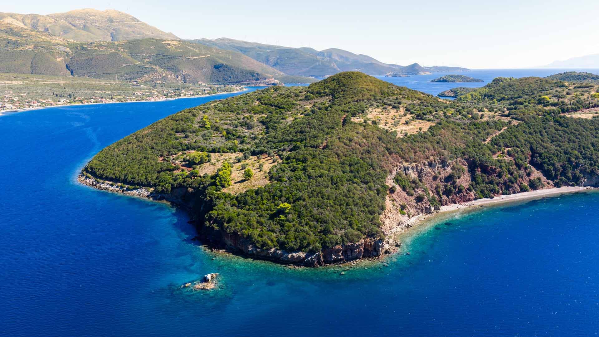 Alt text not provided