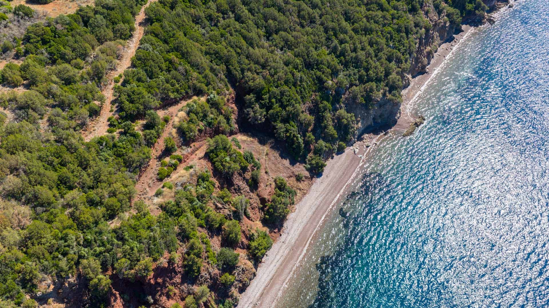 Alt text not provided