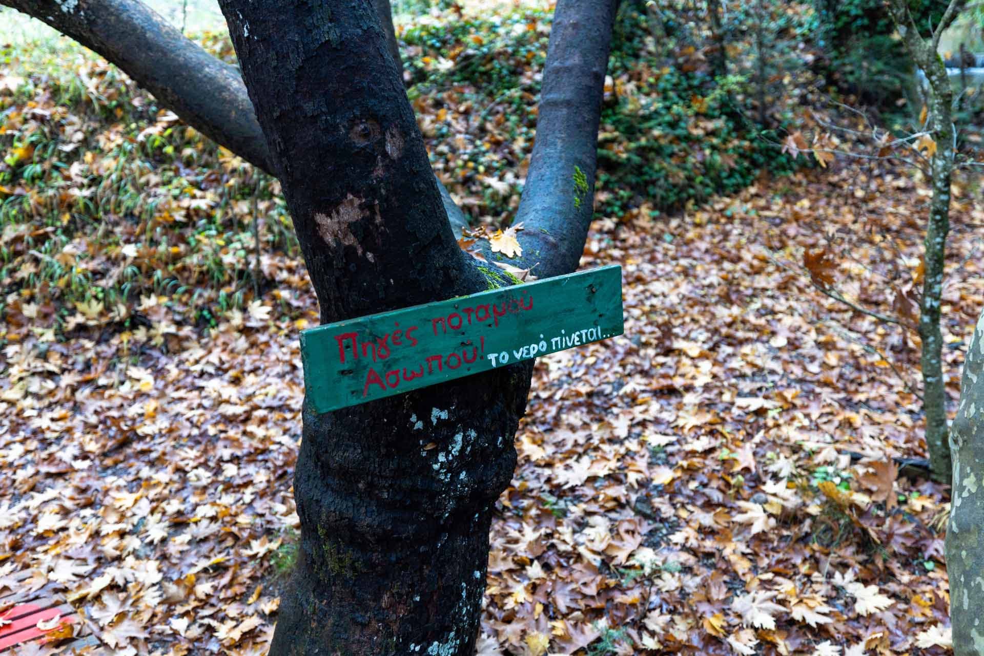 Alt text not provided