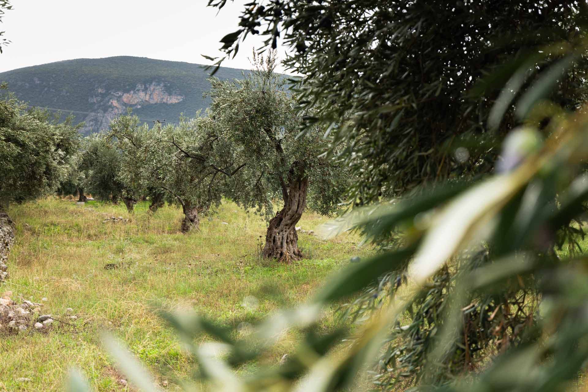 Alt text not provided