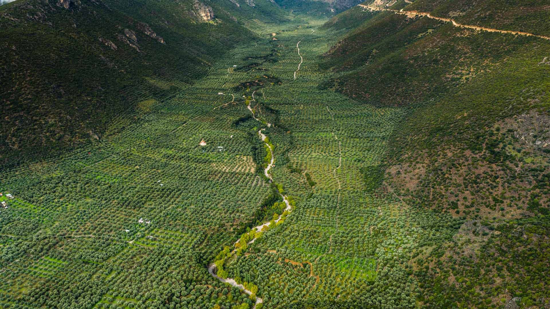 Alt text not provided