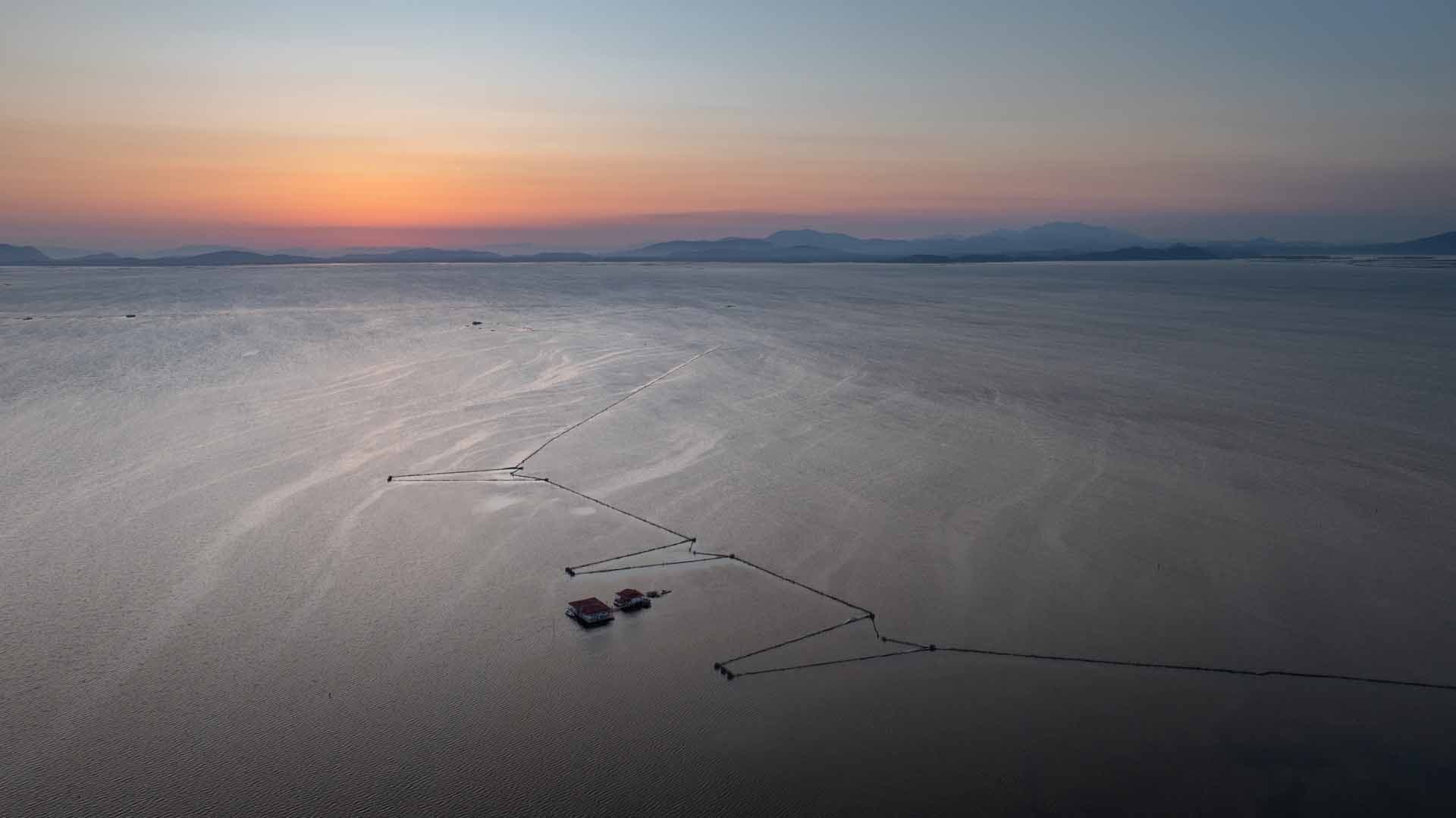 Alt text not provided