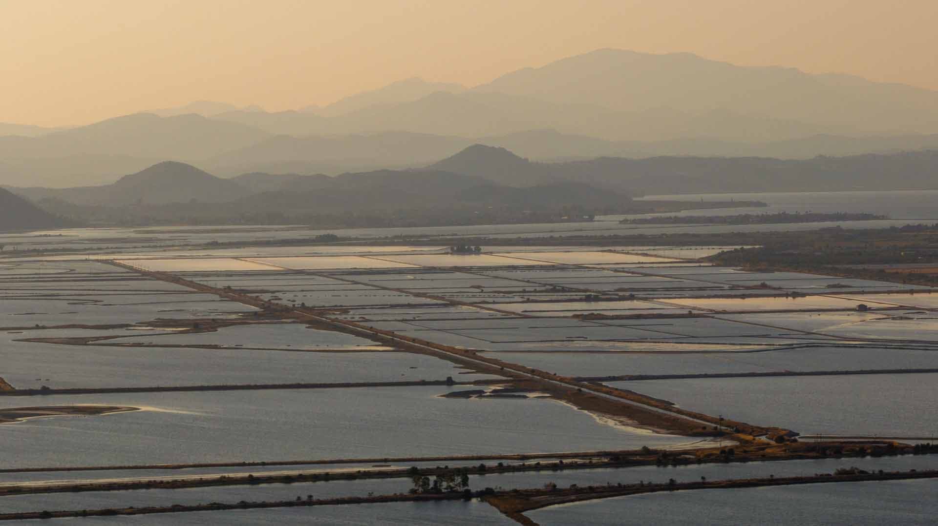 Alt text not provided