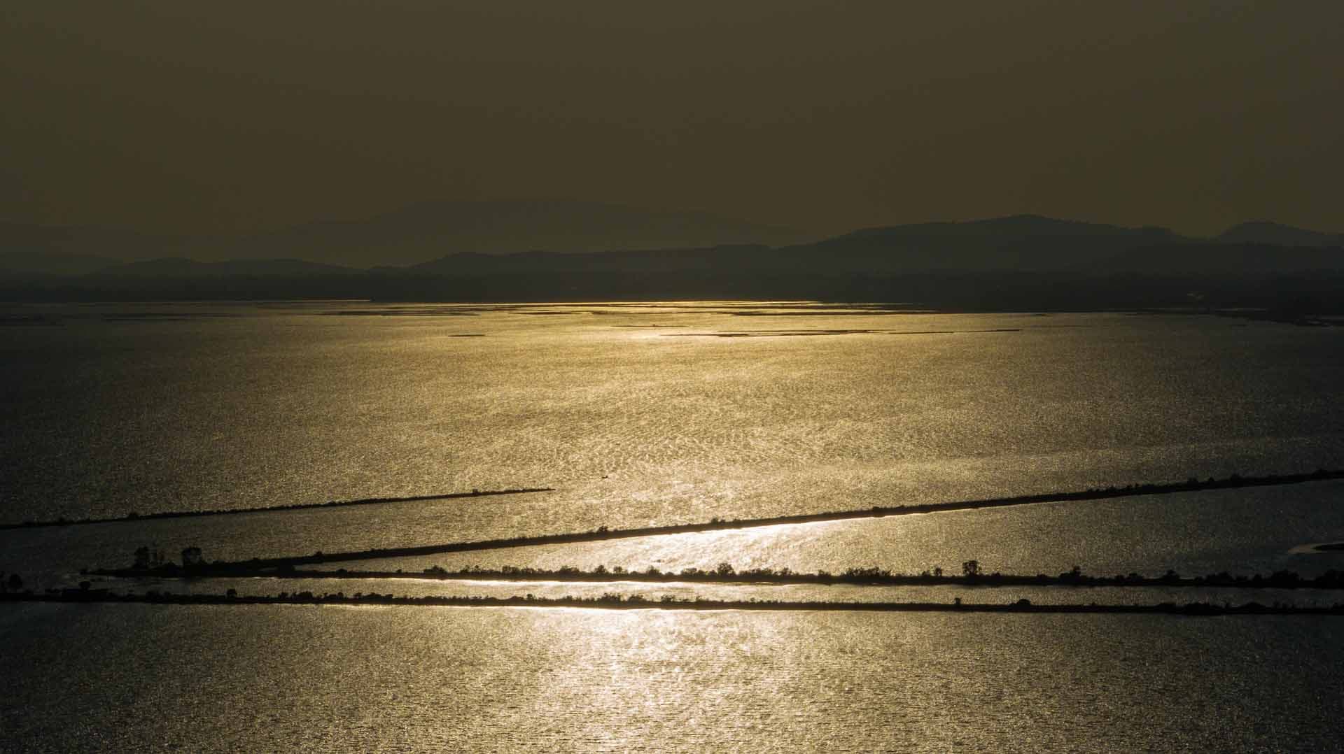 Alt text not provided