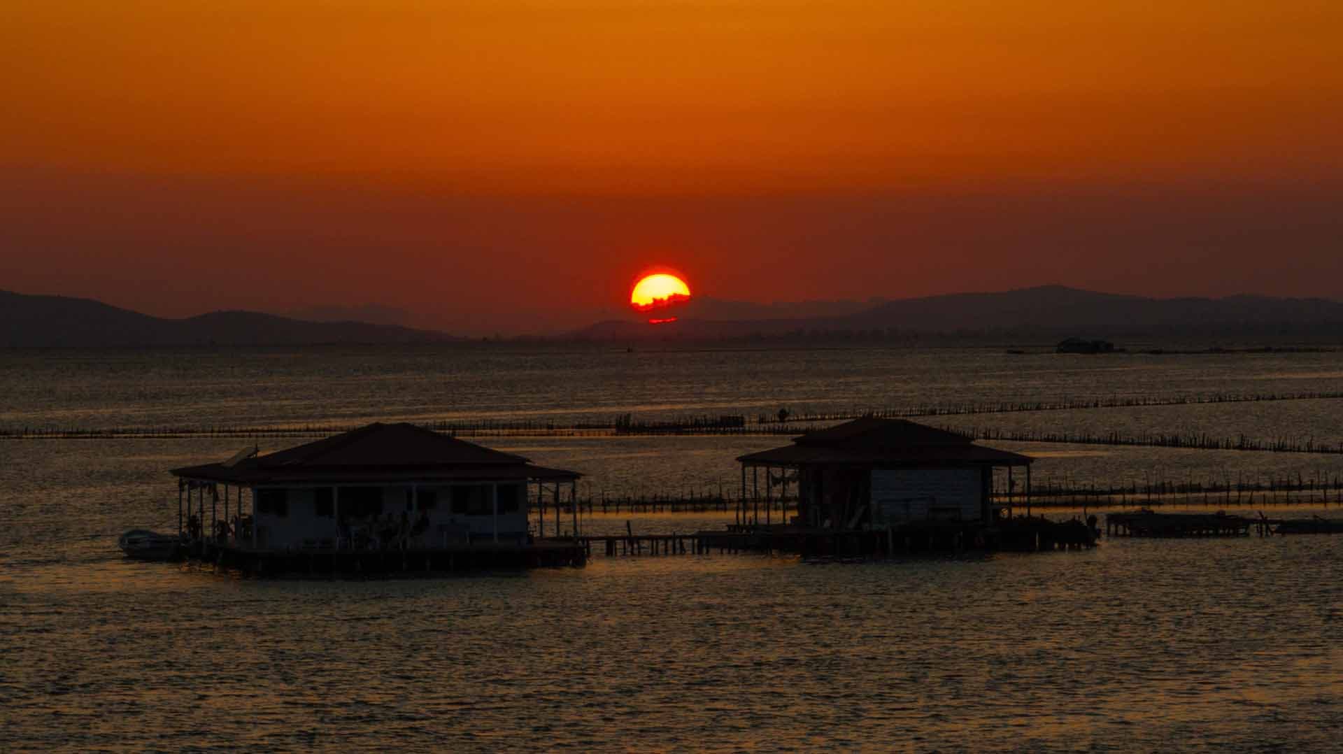 Alt text not provided