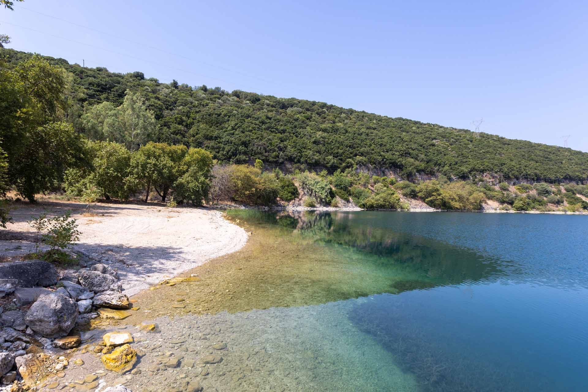 Alt text not provided