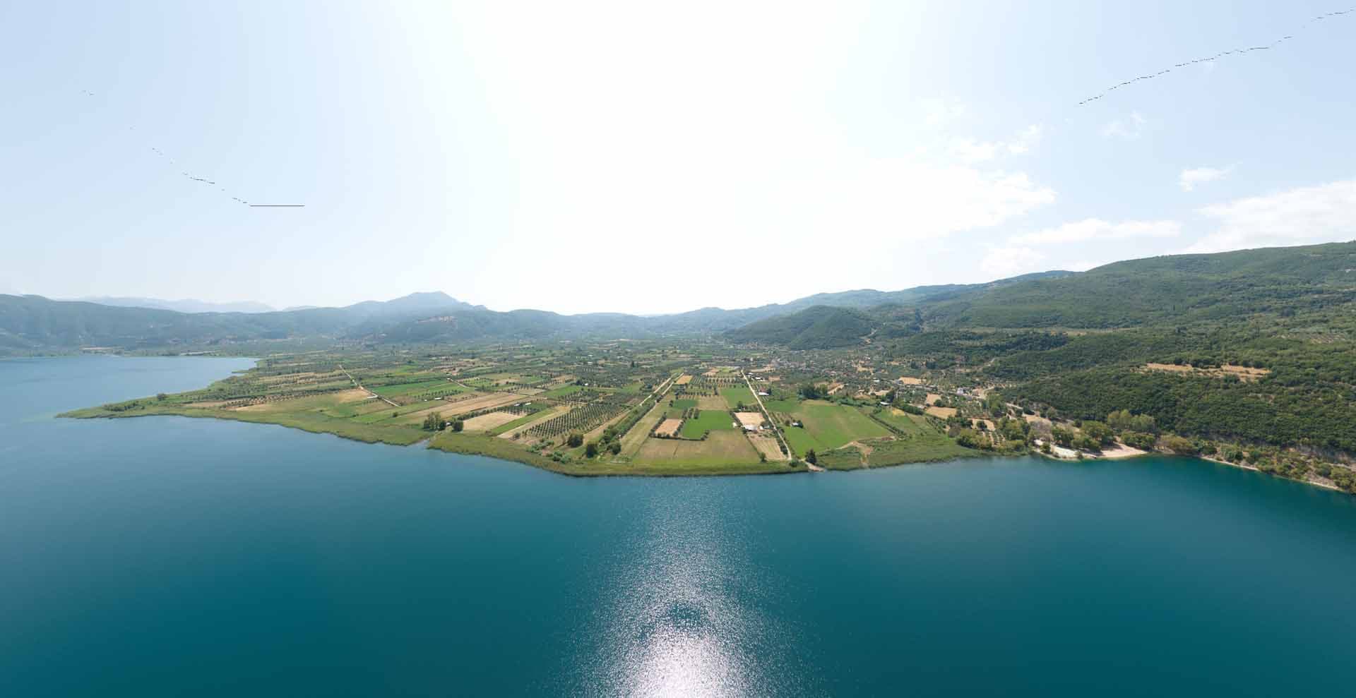 Alt text not provided