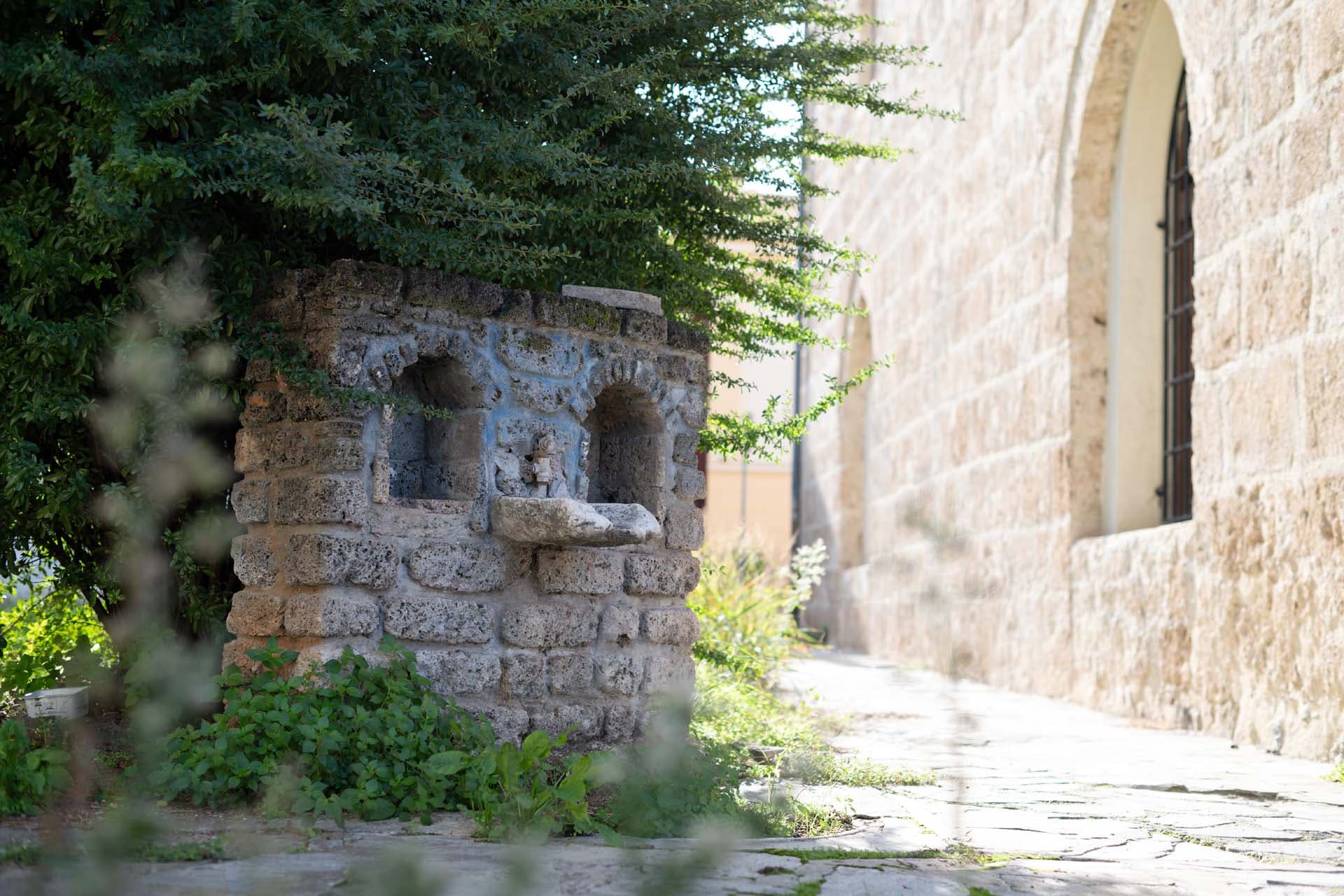 Alt text not provided